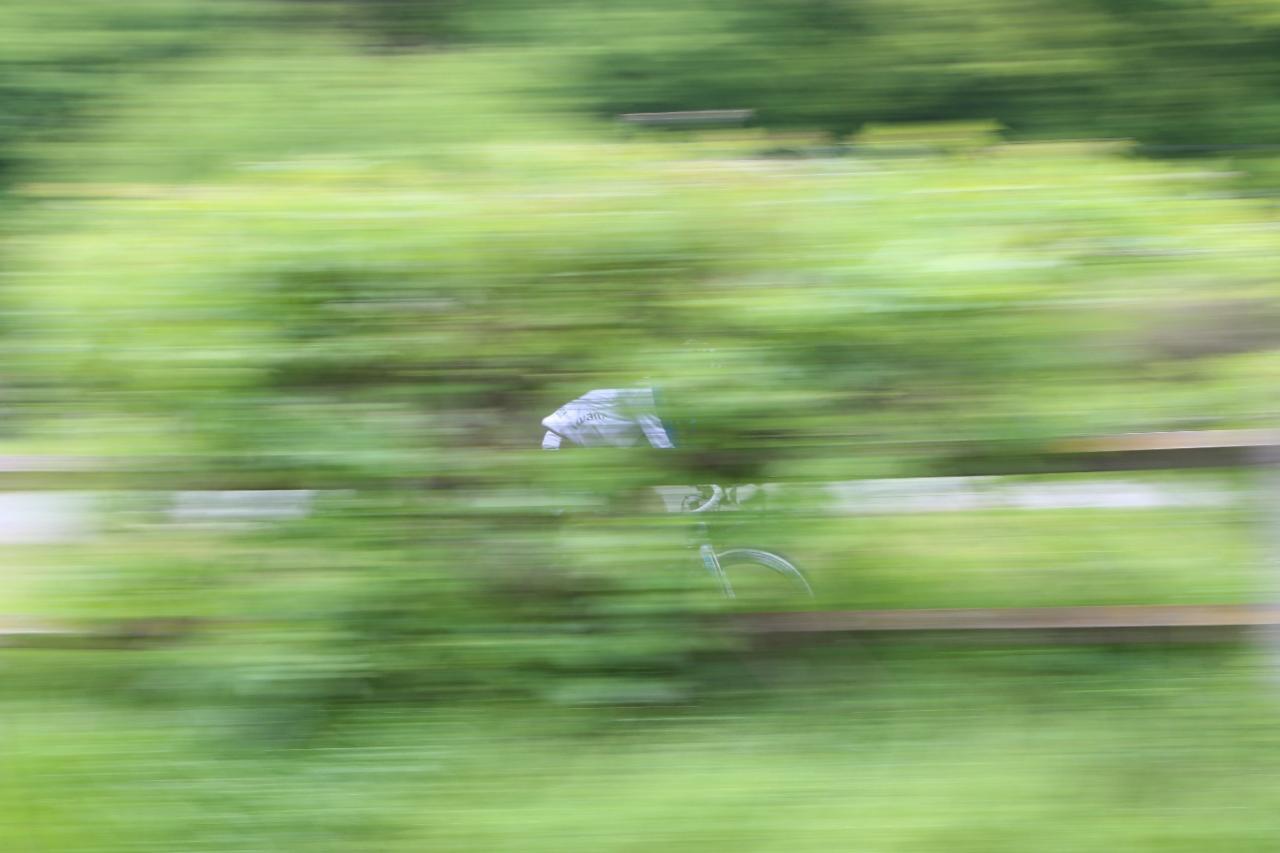 IMG_1154